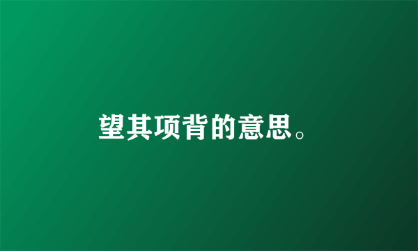 望其项背的意思。