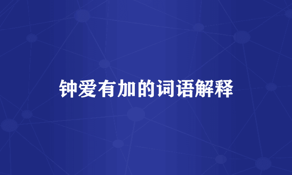 钟爱有加的词语解释