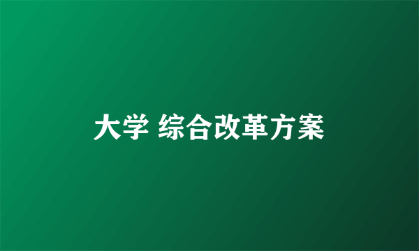 大学 综合改革方案