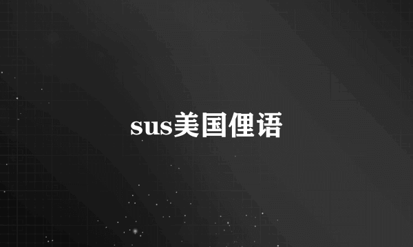 sus美国俚语