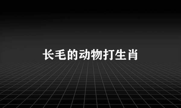 长毛的动物打生肖