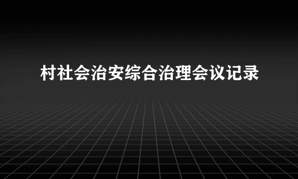 村社会治安综合治理会议记录