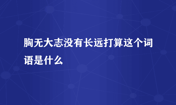 胸无大志没有长远打算这个词语是什么