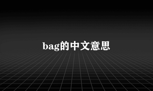 bag的中文意思