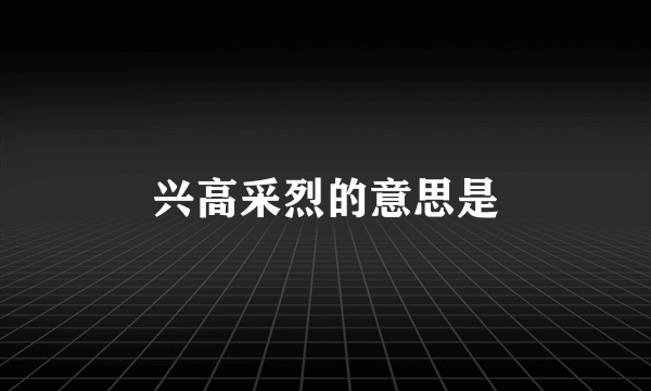 兴高采烈的意思是