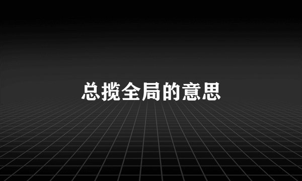 总揽全局的意思