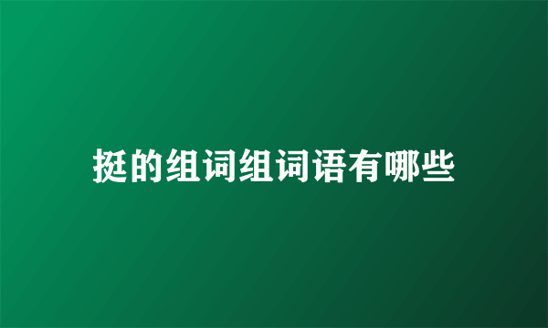 挺的组词组词语有哪些