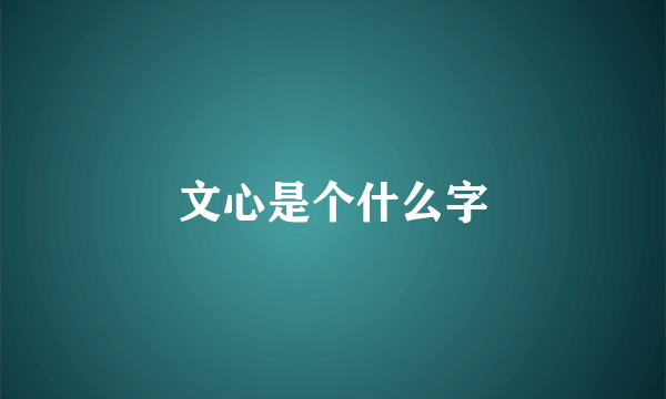 文心是个什么字