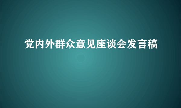 党内外群众意见座谈会发言稿