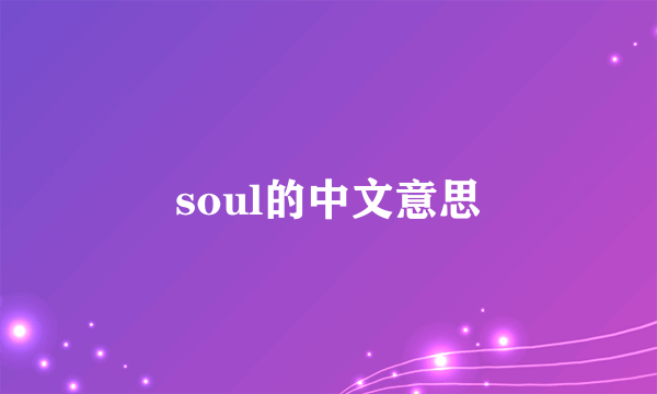 soul的中文意思