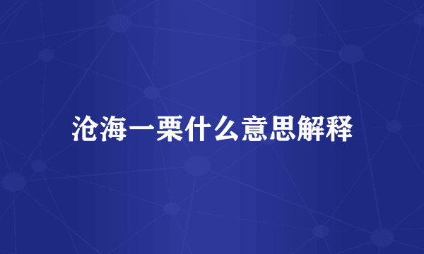 沧海一栗什么意思解释