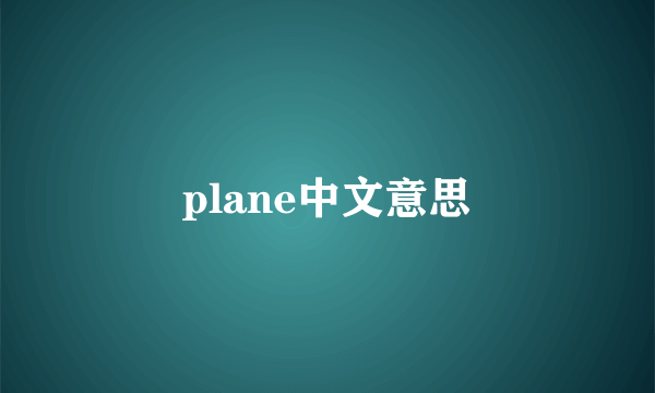 plane中文意思
