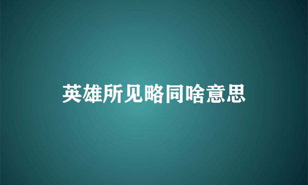 英雄所见略同啥意思
