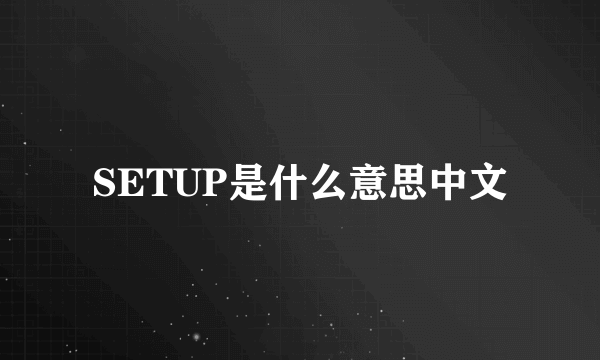 SETUP是什么意思中文