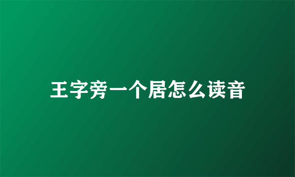 王字旁一个居怎么读音