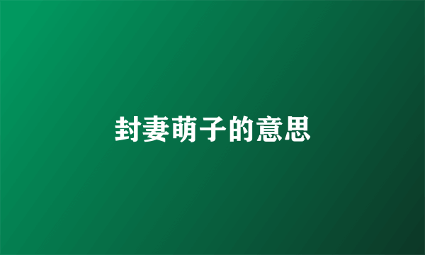 封妻萌子的意思