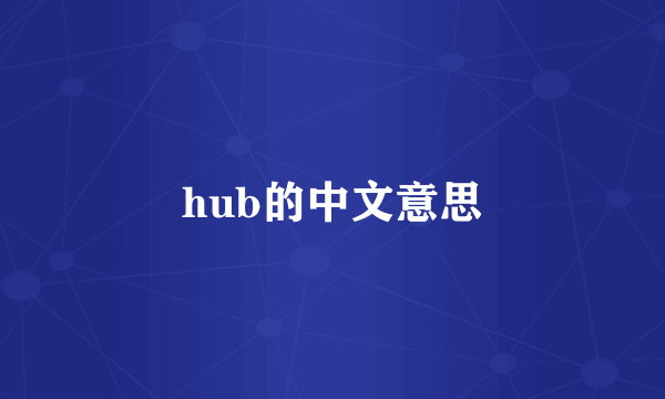 hub的中文意思