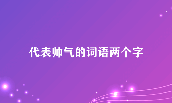 代表帅气的词语两个字