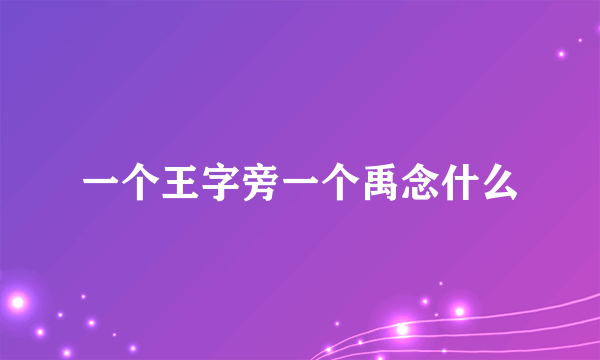 一个王字旁一个禹念什么