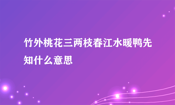 竹外桃花三两枝春江水暖鸭先知什么意思