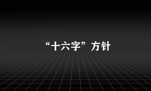 “十六字”方针