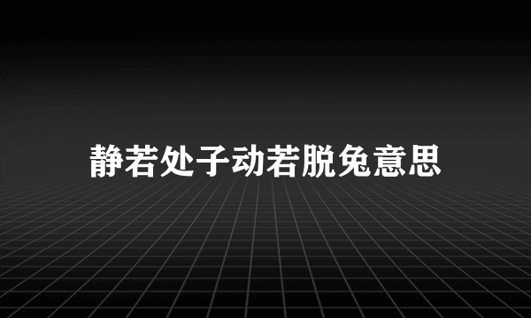 静若处子动若脱兔意思