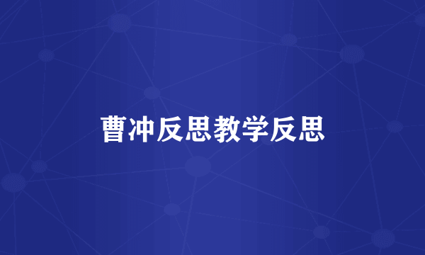 曹冲反思教学反思