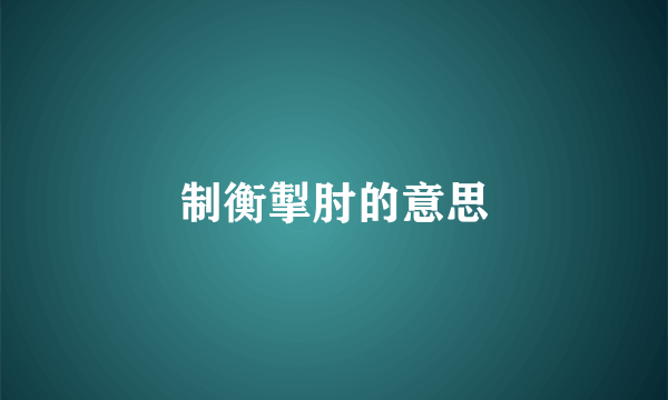 制衡掣肘的意思