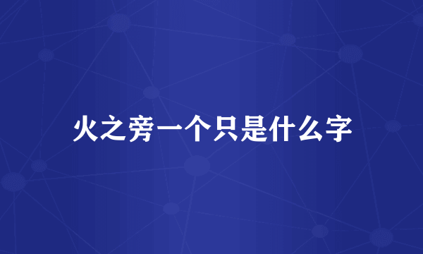 火之旁一个只是什么字