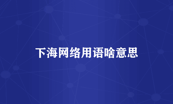 下海网络用语啥意思