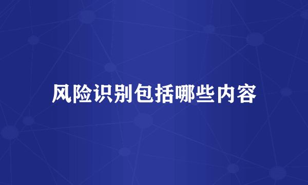 风险识别包括哪些内容