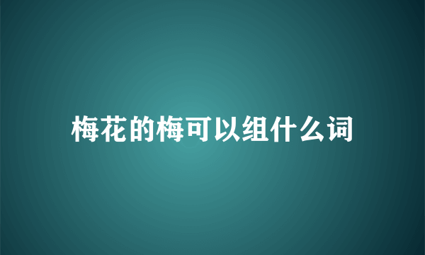 梅花的梅可以组什么词
