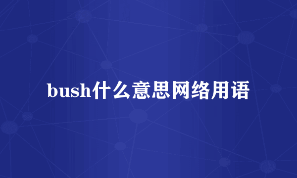 bush什么意思网络用语