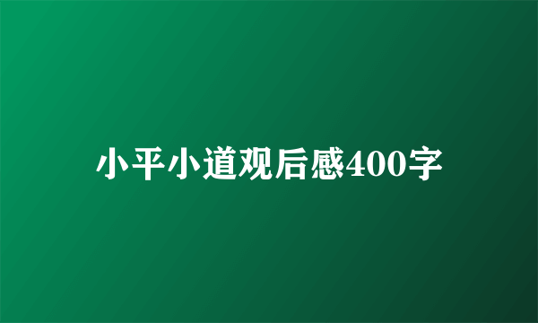 小平小道观后感400字