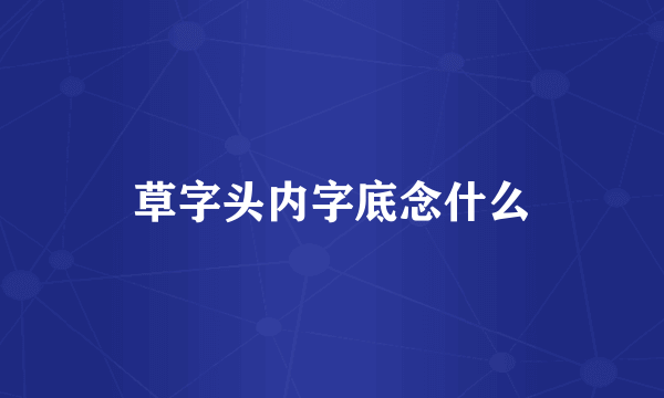 草字头内字底念什么