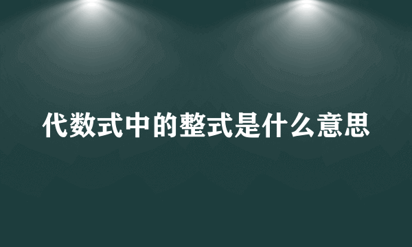 代数式中的整式是什么意思