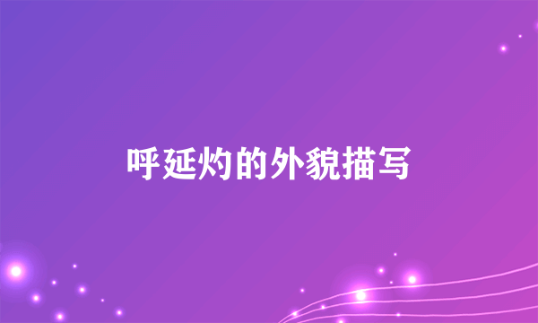 呼延灼的外貌描写