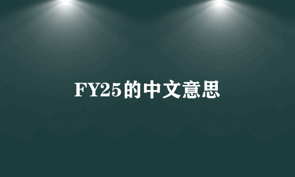 FY25的中文意思