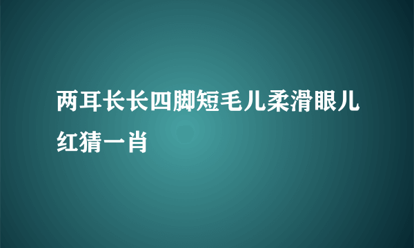 两耳长长四脚短毛儿柔滑眼儿红猜一肖