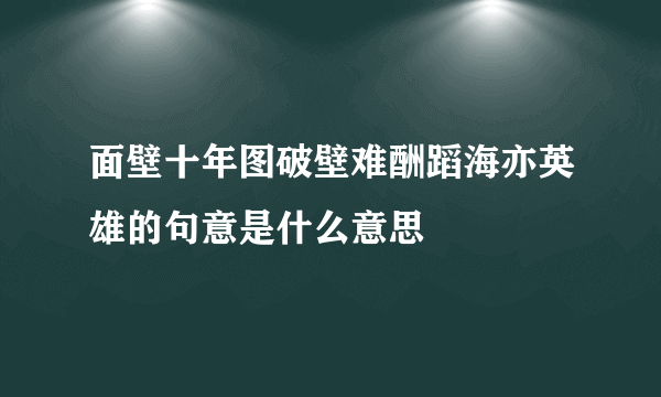 面壁十年图破壁难酬蹈海亦英雄的句意是什么意思