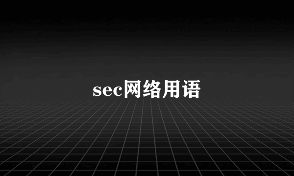 sec网络用语