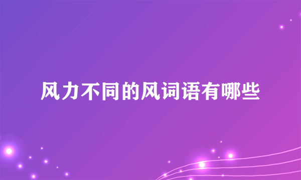 风力不同的风词语有哪些