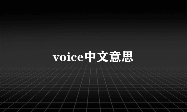 voice中文意思