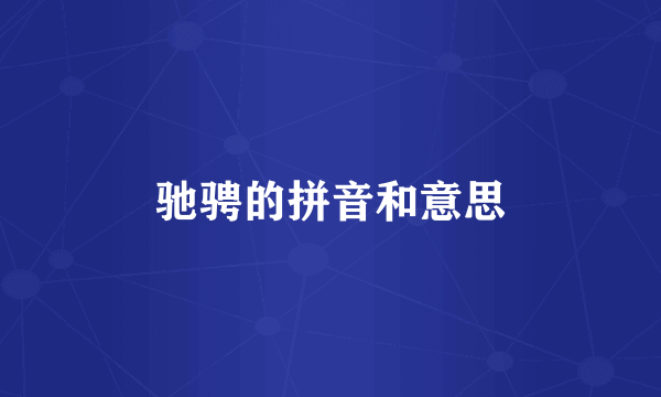 驰骋的拼音和意思