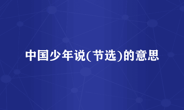 中国少年说(节选)的意思