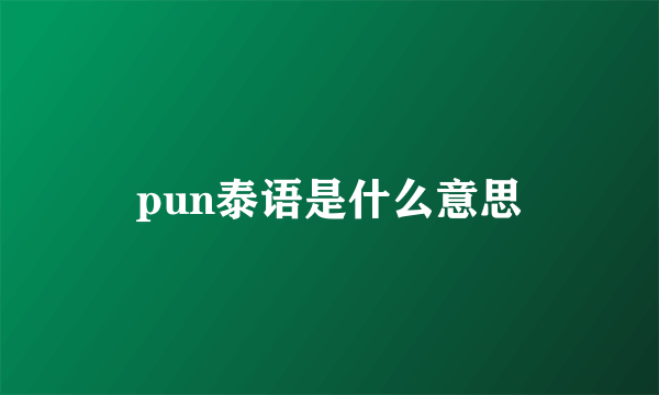 pun泰语是什么意思