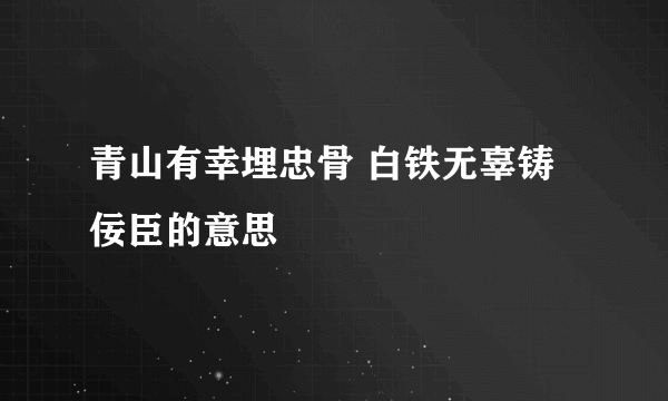 青山有幸埋忠骨 白铁无辜铸佞臣的意思
