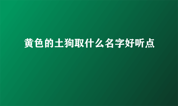 黄色的土狗取什么名字好听点