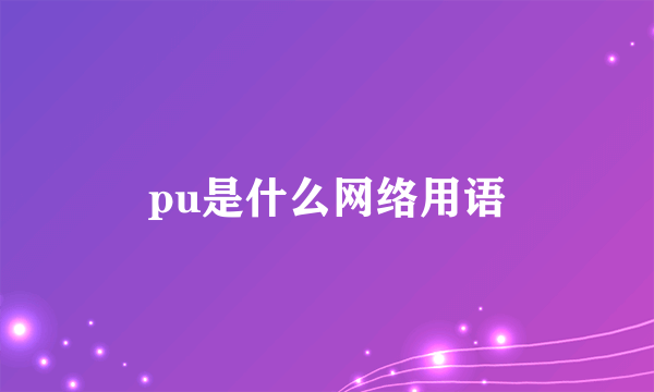 pu是什么网络用语