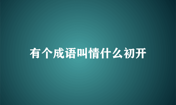 有个成语叫情什么初开